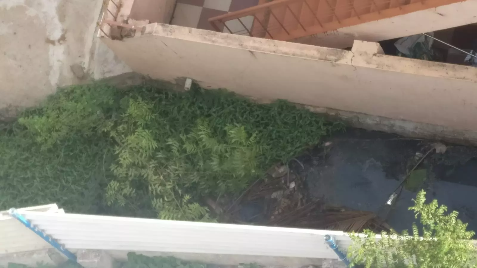 தூர்ந்துபோகும் கழிவுநீர் வாய்க்கால் தூர்ந்துபோகும் கழிவுநீர் வாய்க்கால்