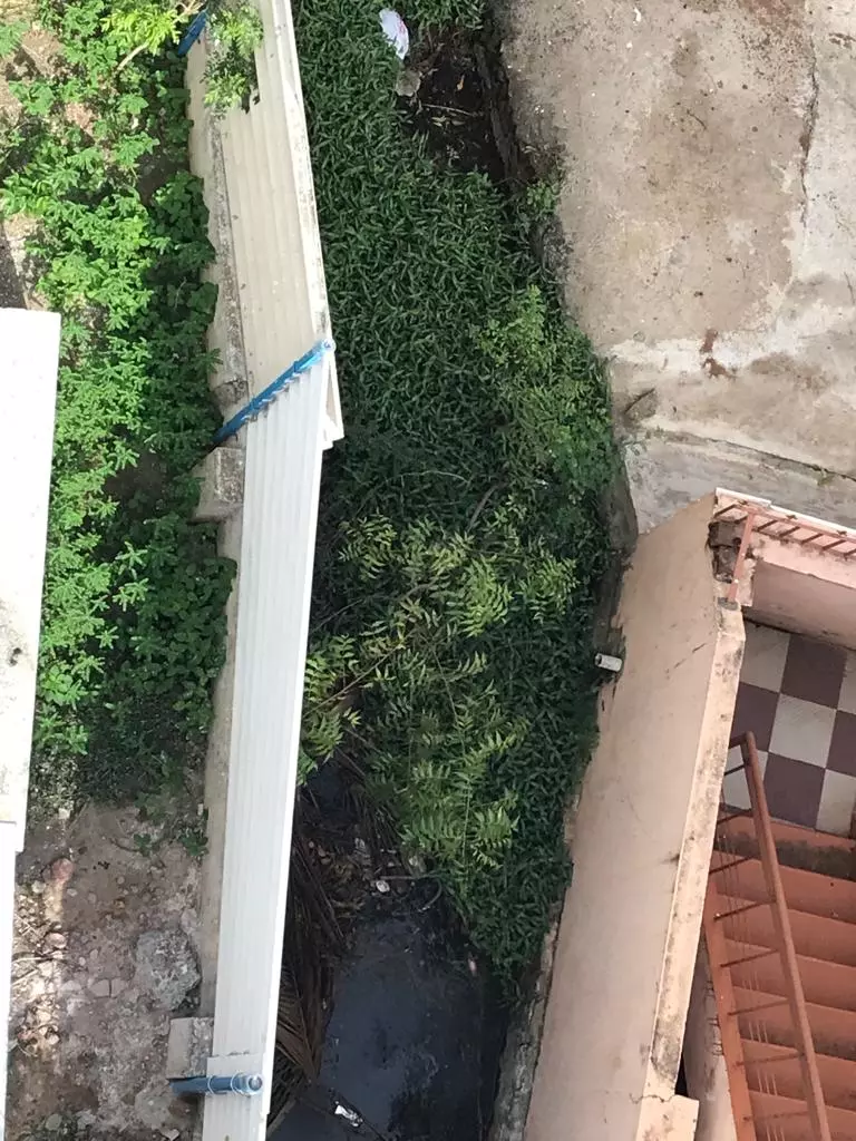 தூர்ந்துபோகும் கழிவுநீர் வாய்க்கால் தூர்ந்துபோகும் கழிவுநீர் வாய்க்கால்