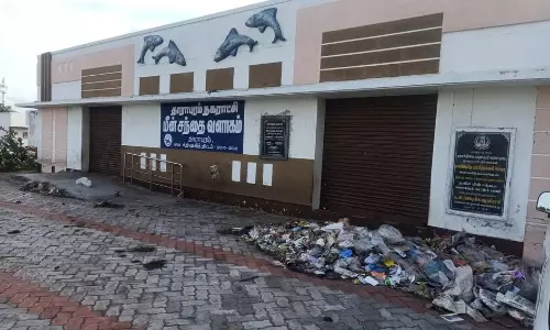 மீன்சந்தை பயன்பாட்டுக்கு வருமா?
