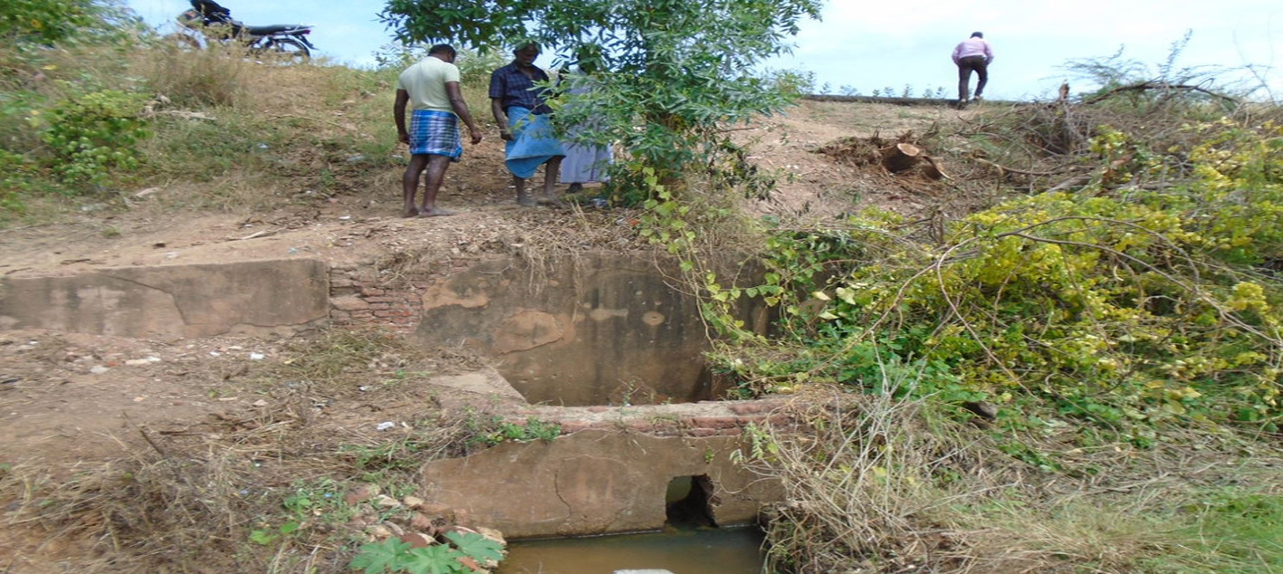 குளத்தின் மடையை சீரமைக்க வேண்டும்