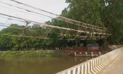 தூசு படலங்களால் மின்கம்பிகள் சேதமடைய வாய்ப்பு தூசு படலங்களால் மின்கம்பிகள் சேதமடைய வாய்ப்பு