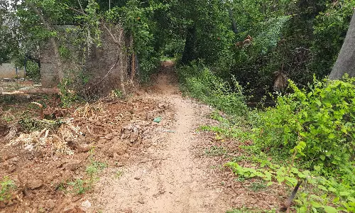 புதிய தார்ச்சாலை வேண்டும் புதிய தார்ச்சாலை வேண்டும்