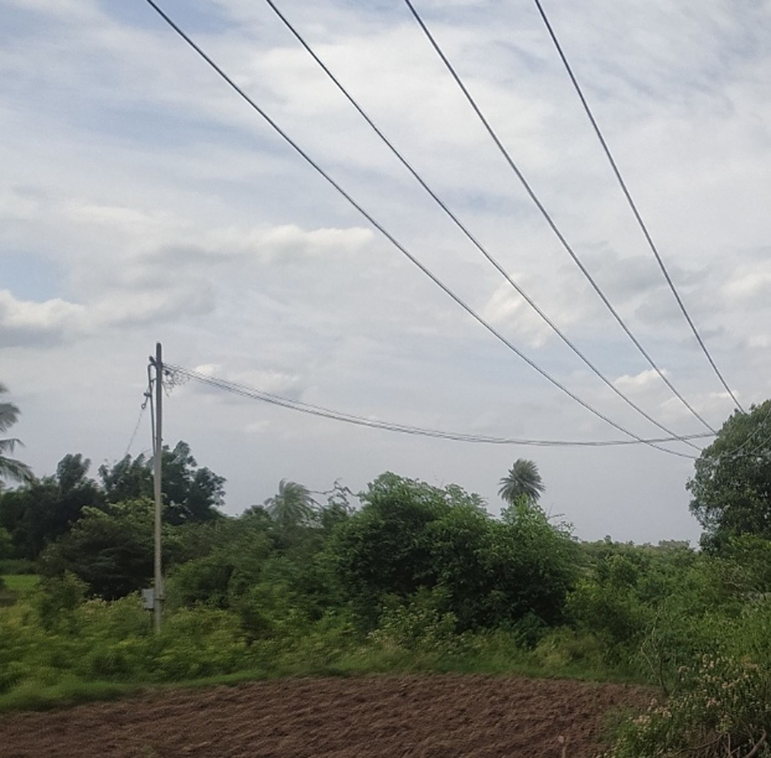 தாழ்வாக செல்லும் மின்கம்பிகள் தாழ்வாக செல்லும் மின்கம்பிகள்