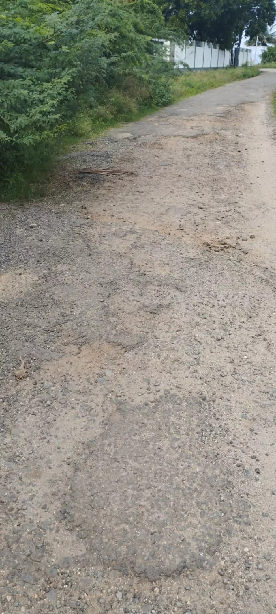 குண்டும்-குழியுமான ரோடு