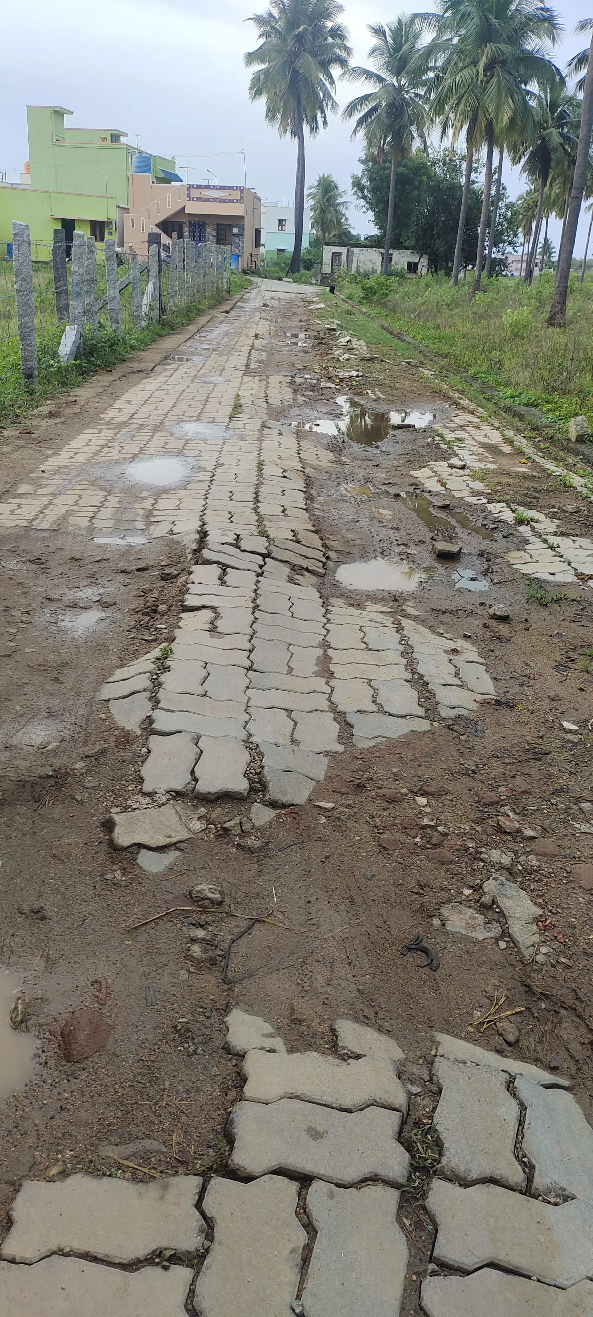 சாலையை சீர் செய்ய வேண்டும்