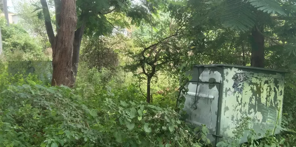 பள்ளத்தில் குப்பைத்தொட்டிகள் பள்ளத்தில் குப்பைத்தொட்டிகள்