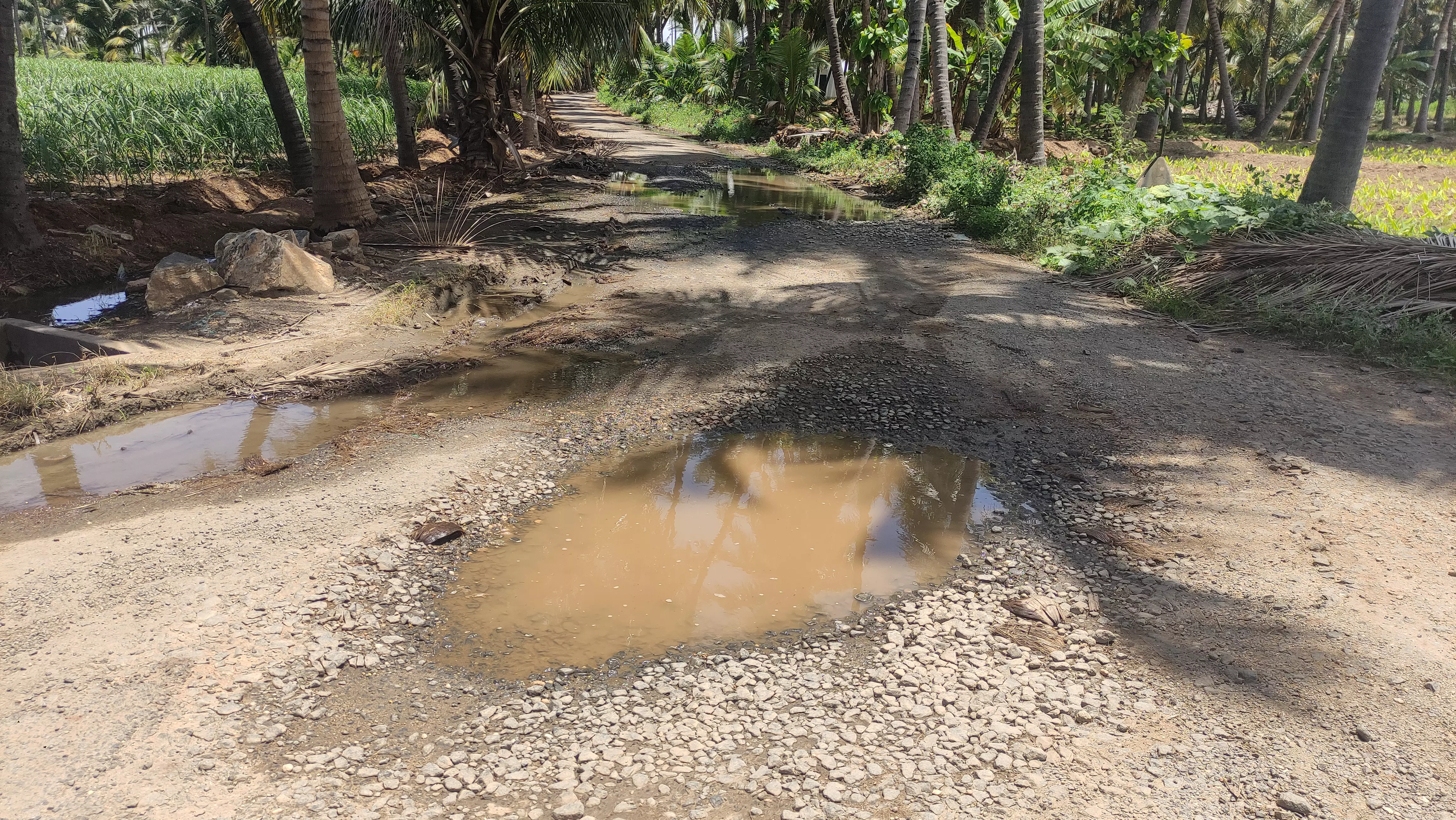 தண்ணீர் குழாய் சரிசெய்யப்படுமா?