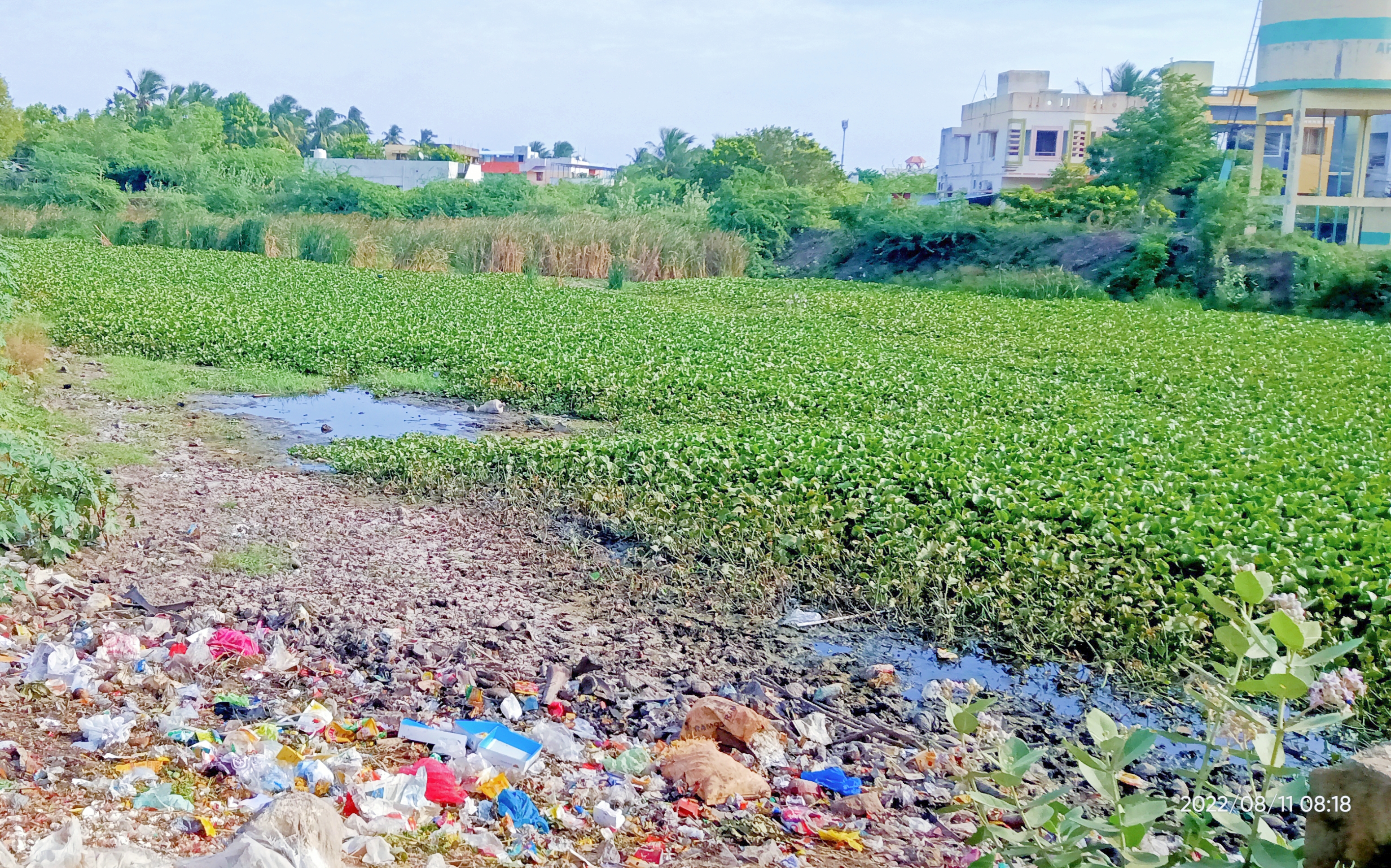 ஓடையில் கொட்டப்படும் கழிவுகள்
