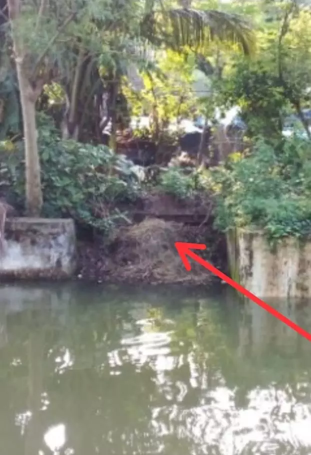 வாய்க்கால் தூர்வாரப்படுமா? வாய்க்கால் தூர்வாரப்படுமா?