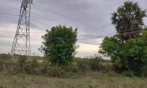 தாழ்வாக செல்லும் மின்கம்பிகள்