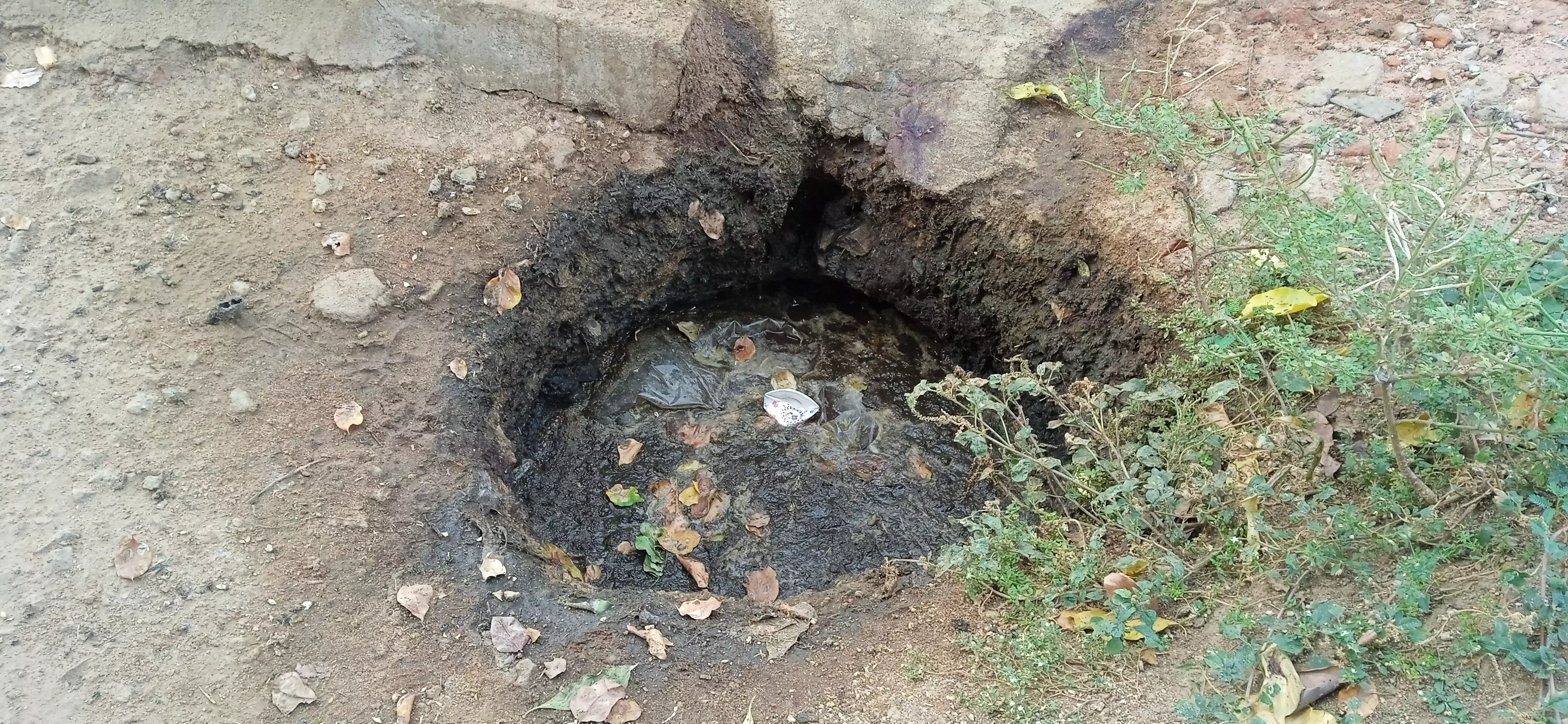 நோய் பரவும் அபாயம் நோய் பரவும் அபாயம்