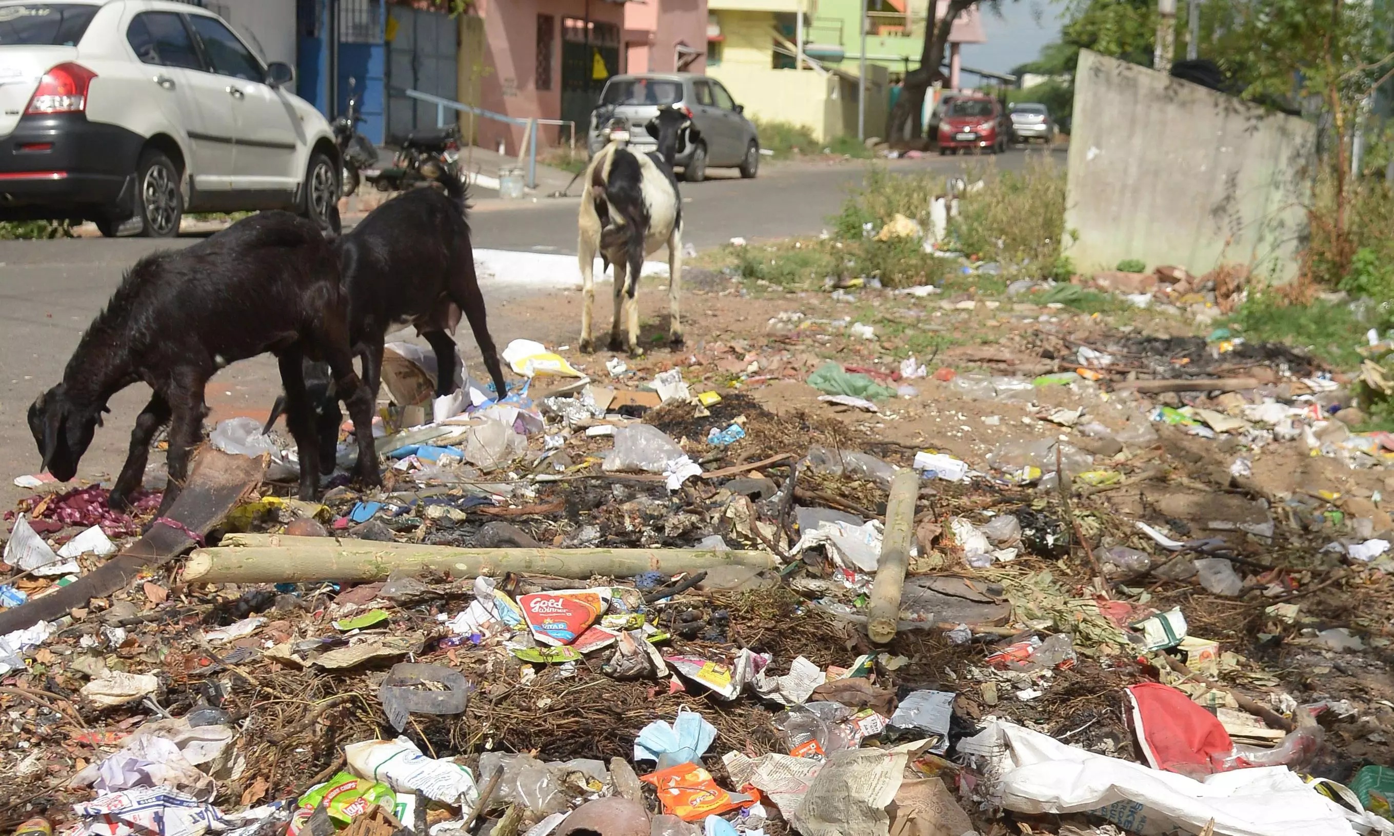குப்பை குவியல் குப்பை குவியல்