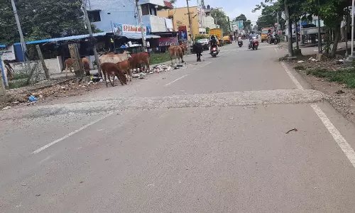 வேகத்தடையால் விபத்து வேகத்தடையால் விபத்து