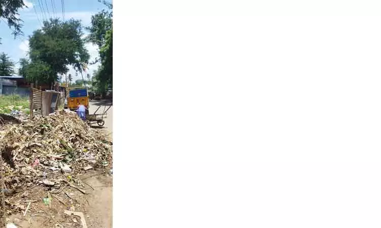 குவிந்து கிடக்கும் குப்பை