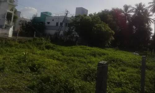 புதர் மண்டிய பூங்கா புதர் மண்டிய பூங்கா