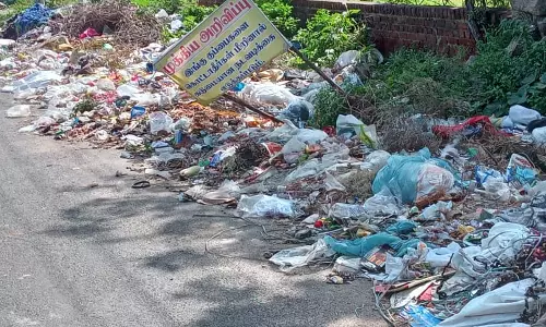 குப்பைகள் அகற்றப்படுமா?