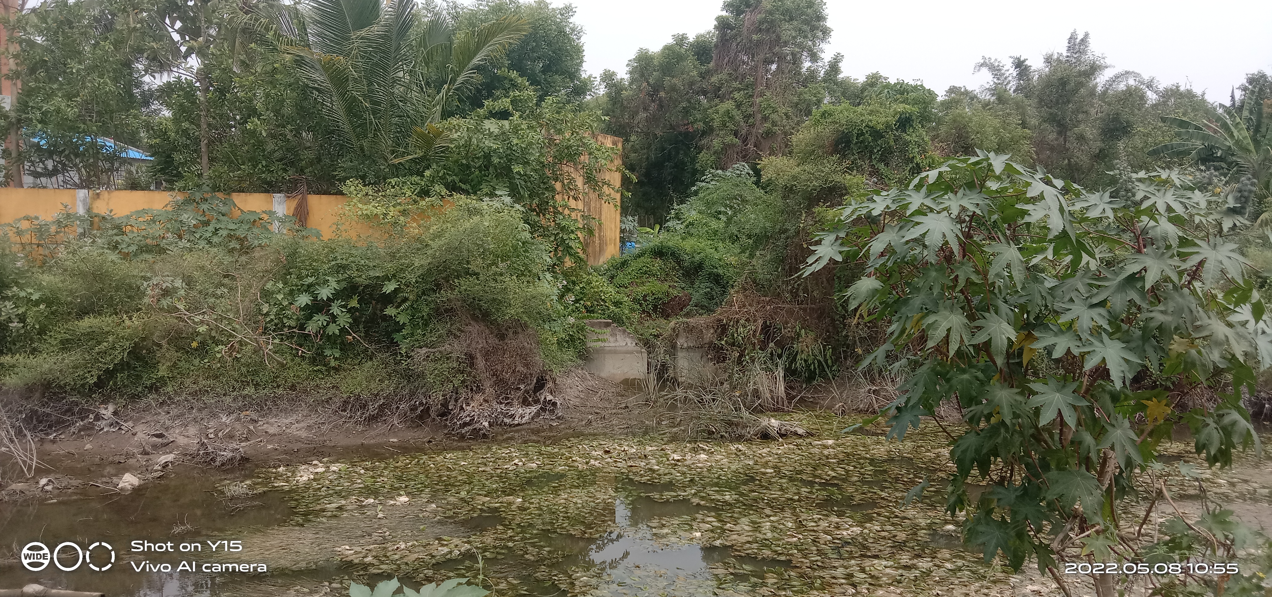 பாலங்கள் கட்டப்படுமா?