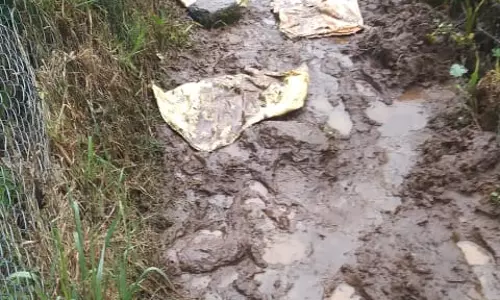 நடைபாதை அமைக்கப்படுமா?