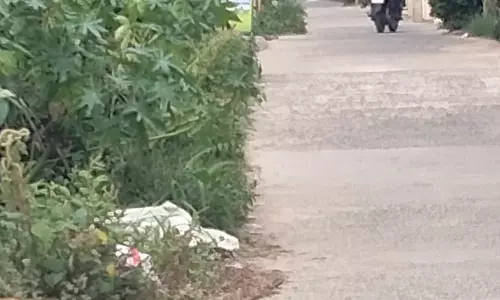 கழிவுநீர் கால்வாயை ஆக்கிரமித்த புதர்கள் கழிவுநீர் கால்வாயை ஆக்கிரமித்த புதர்கள்