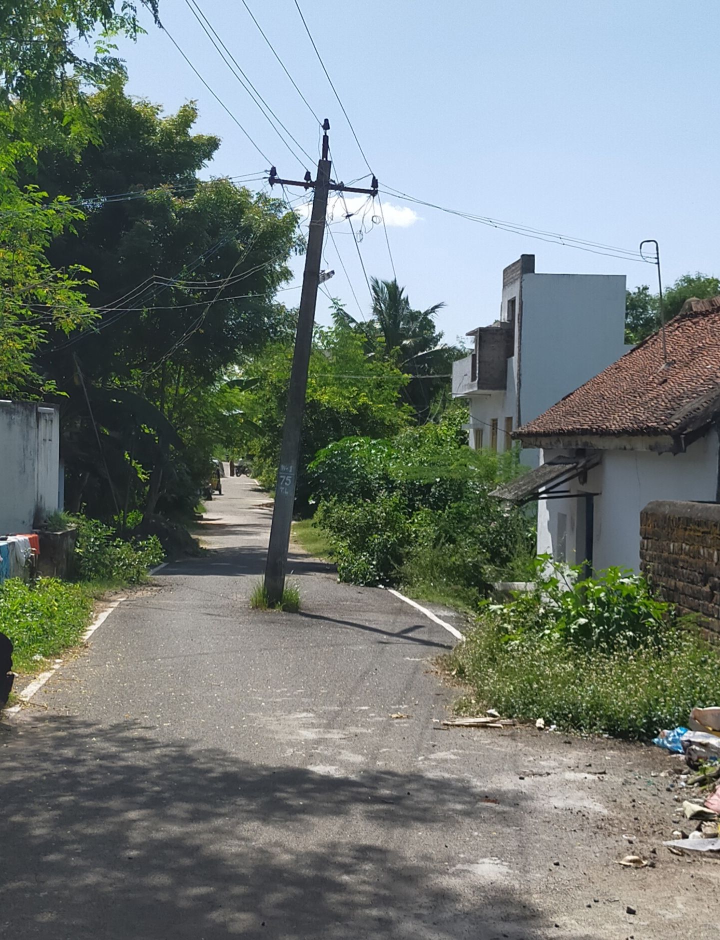 நடுரோட்டில் இருக்கும் மின்கம்பம்