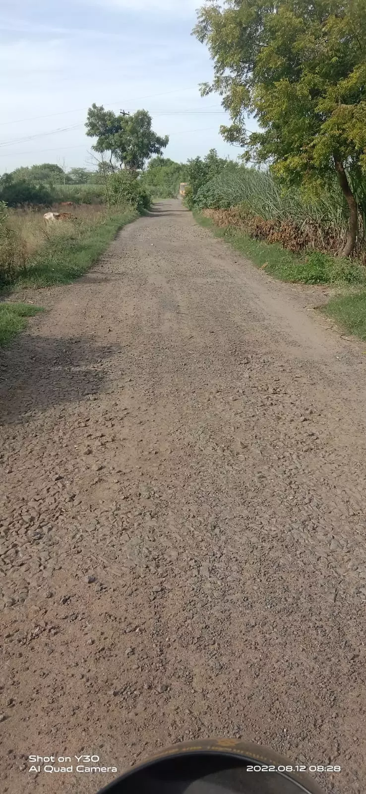 சாலை சீரமைக்கப்படுமா?