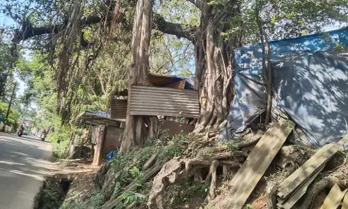 மரத்ைத அகற்ற வேண்டும்