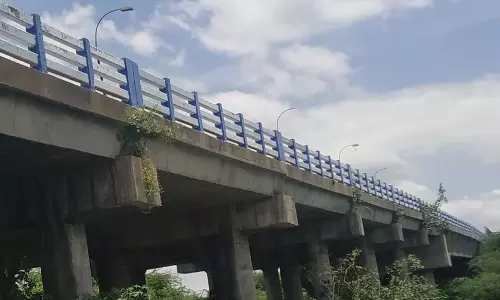 மேம்பால சுவரில் வளர்ந்துள்ள செடி, கொடிகள் மேம்பால சுவரில் வளர்ந்துள்ள செடி, கொடிகள்