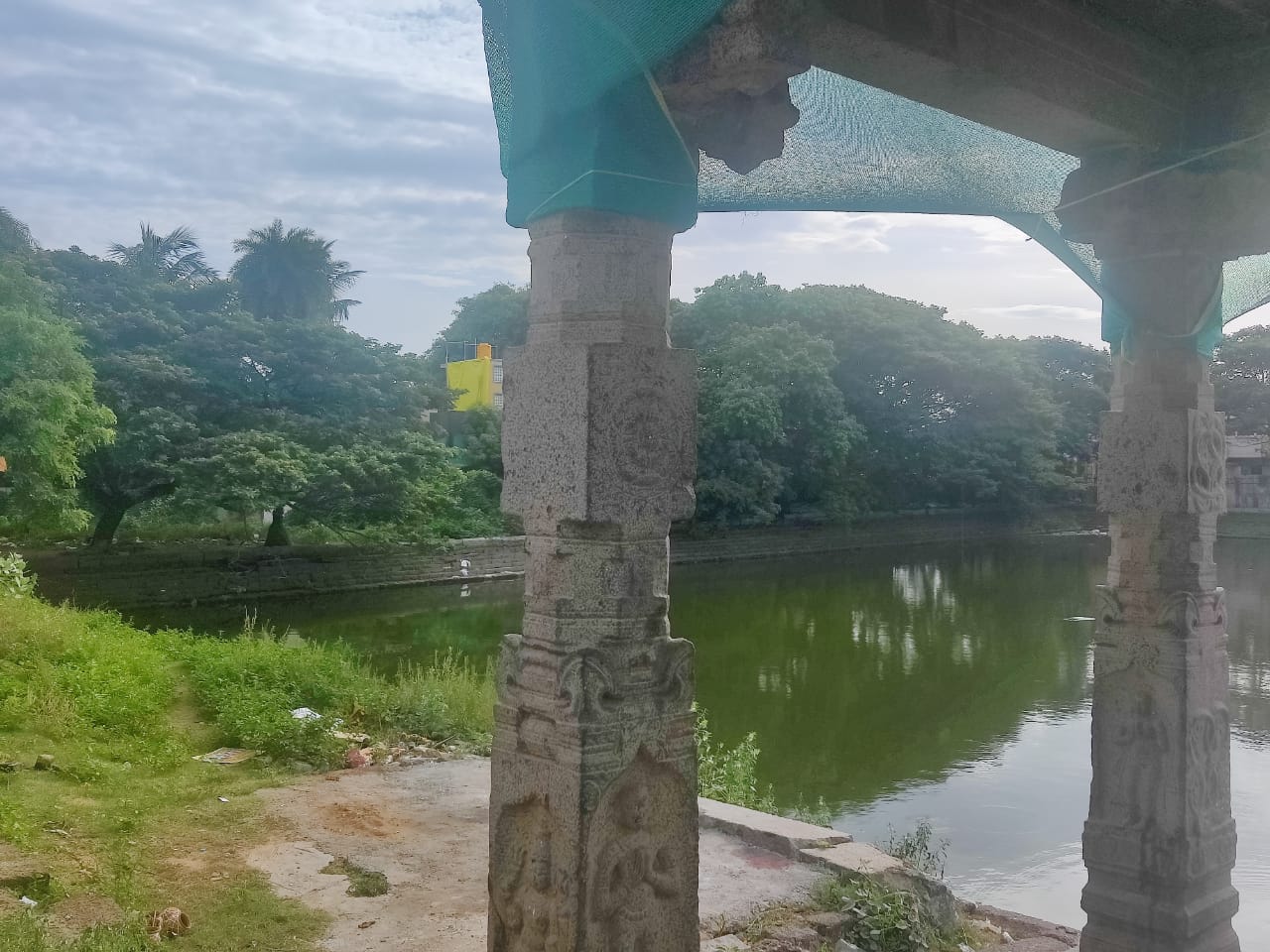 முட்புதர்கள் அகற்றப்படுமா?