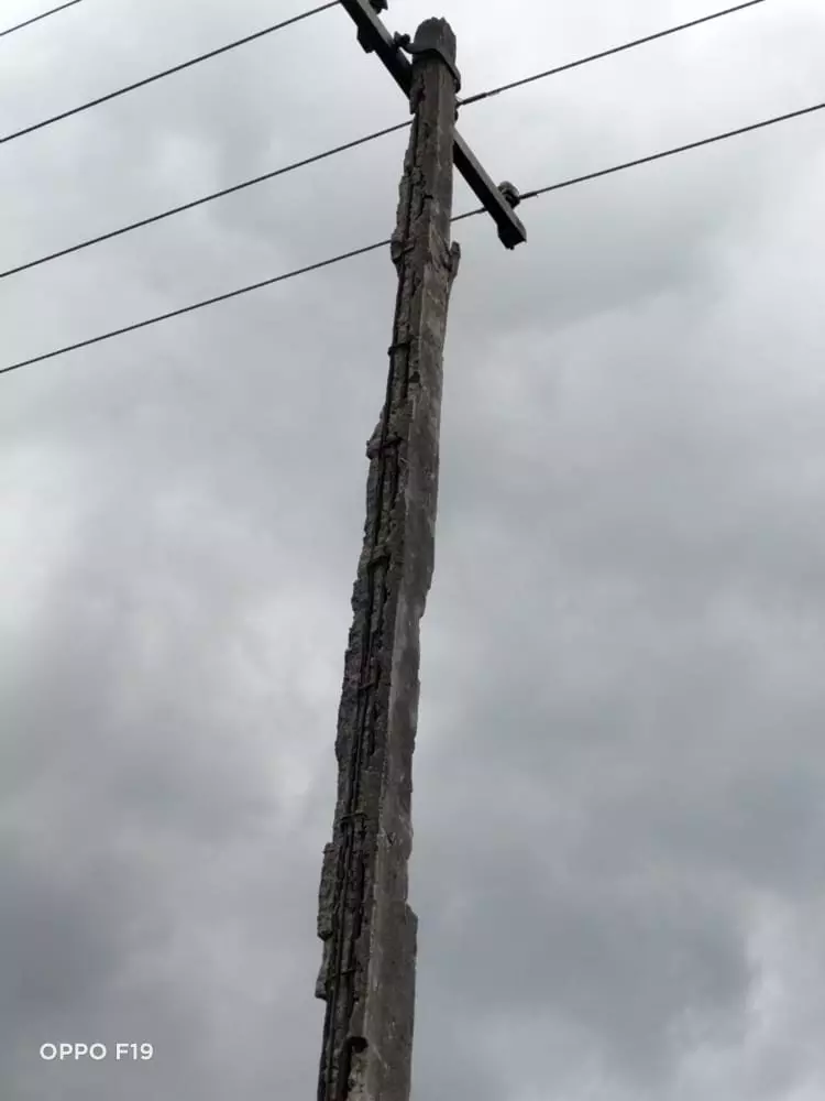 தினத்தந்திக்கு பாராட்டு