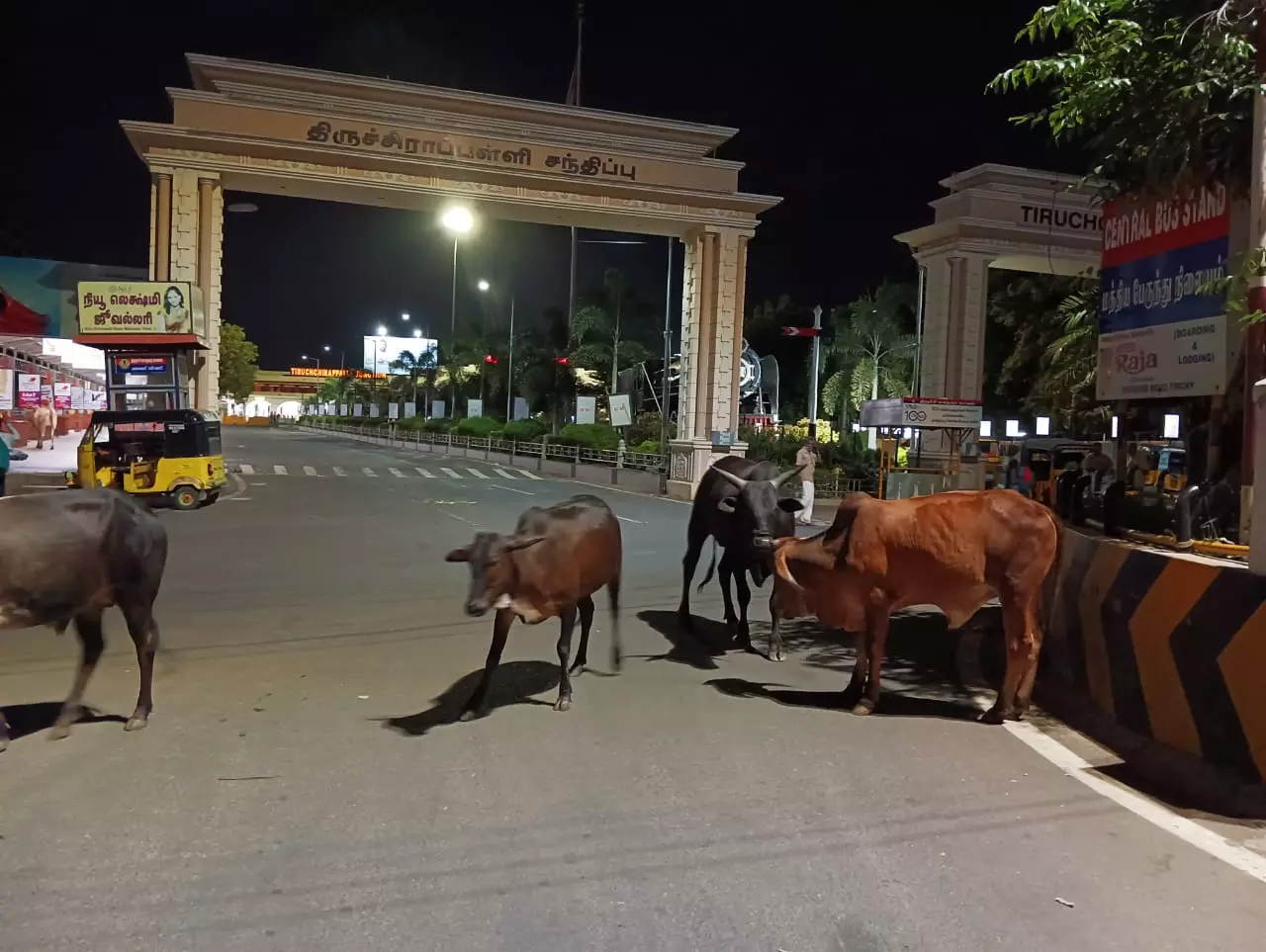 போக்குவரத்திற்கு இடையூறு போக்குவரத்திற்கு இடையூறு