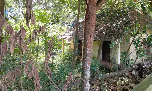 நடவடிக்கை எடுக்க வேண்டும் நடவடிக்கை எடுக்க வேண்டும்