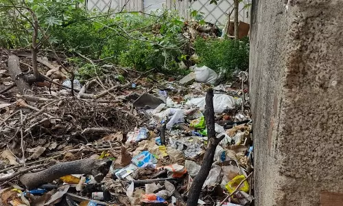 குப்பைகளை அகற்ற வேண்டும் குப்பைகளை அகற்ற வேண்டும்