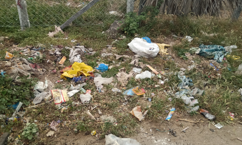 சாலையோரம் கொட்டப்படும் குப்பைகள் சாலையோரம் கொட்டப்படும் குப்பைகள்