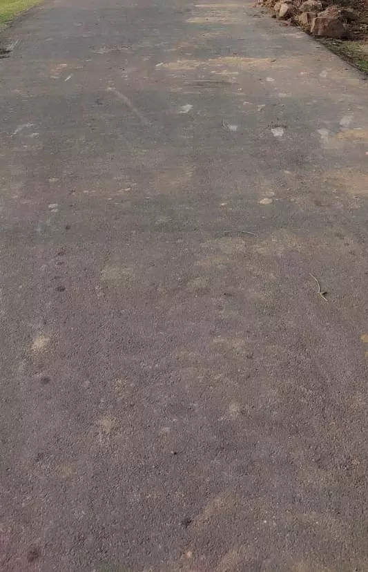 வேகத்தடை வேண்டும்