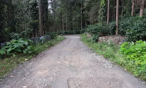 குண்டும், குழியுமான சாலை