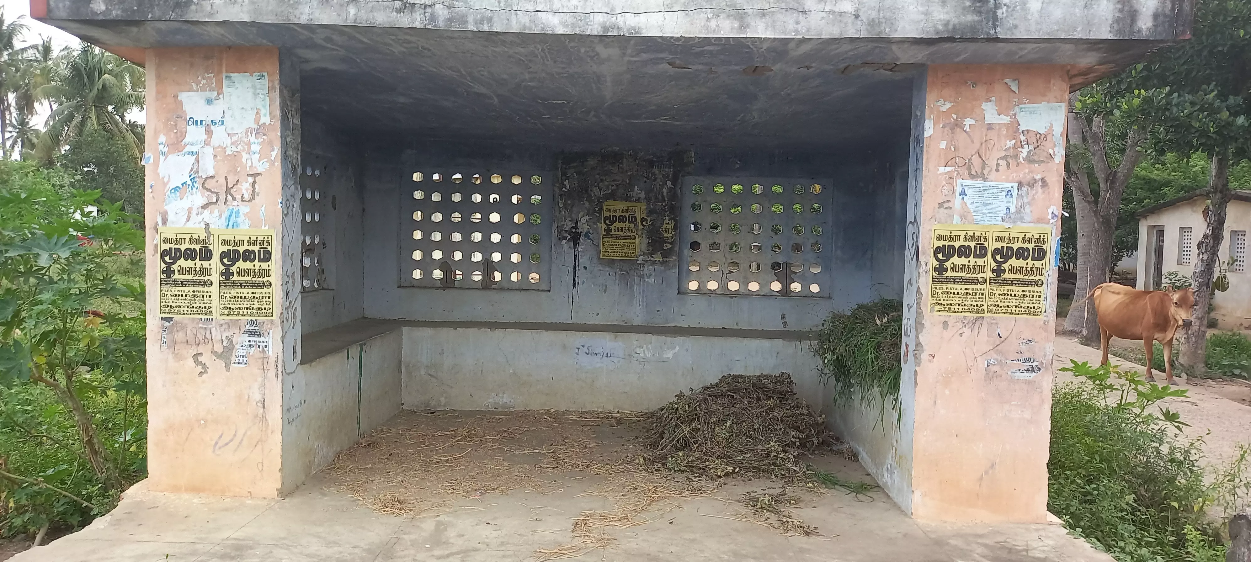 பயனற்ற பயணிகள் நிழற்குடை பயனற்ற பயணிகள் நிழற்குடை