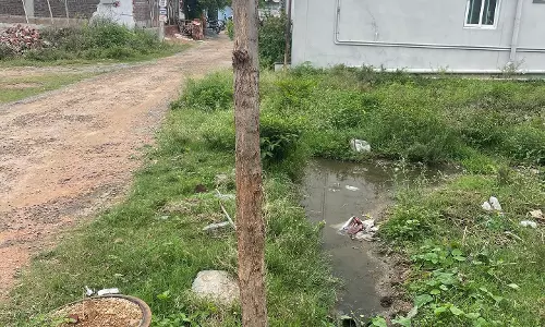 சாக்கடை கால்வாய் அமைக்கப்படுமா? சாக்கடை கால்வாய் அமைக்கப்படுமா?