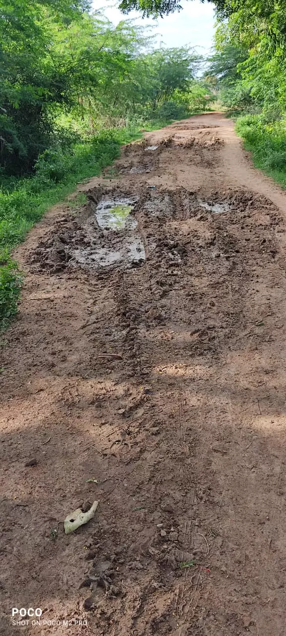 சேரும் சகதியுமான சாலை