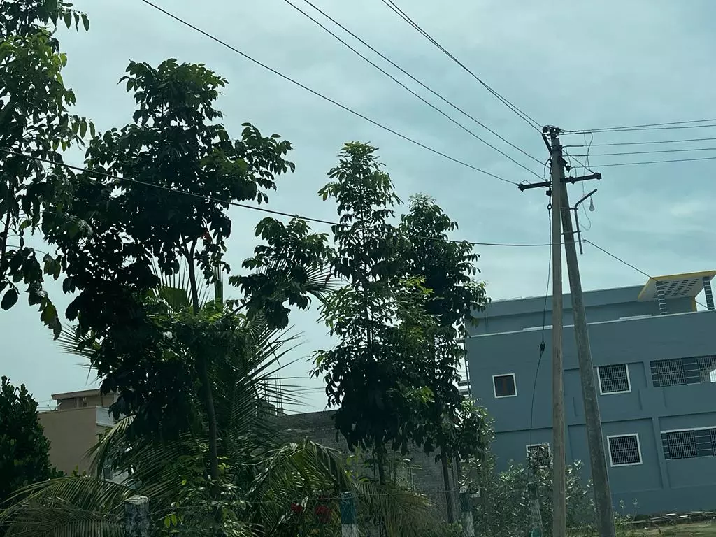 புகார் பெட்டி எதிரொலி