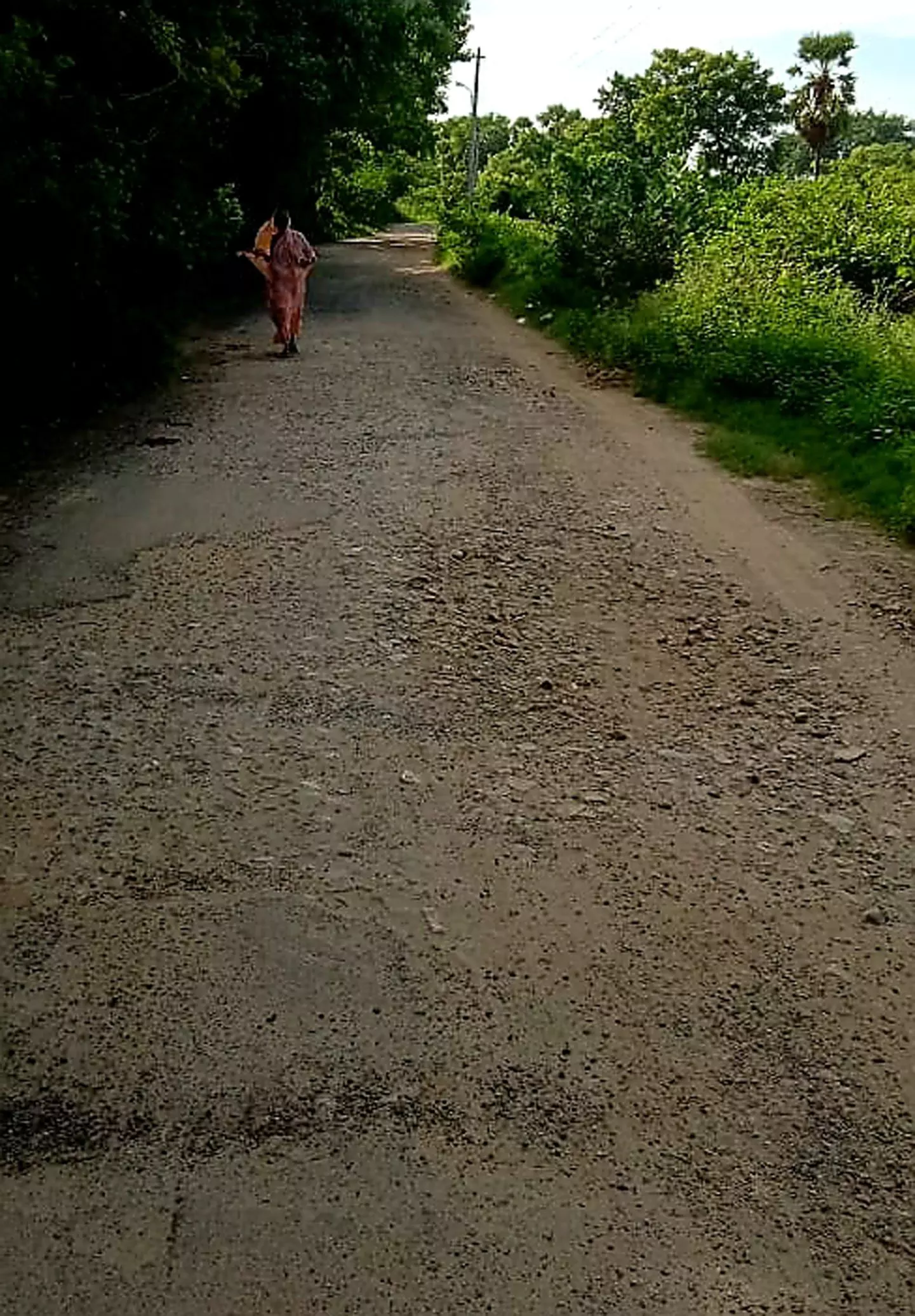 சாலையை சீரமைப்பார்களா?