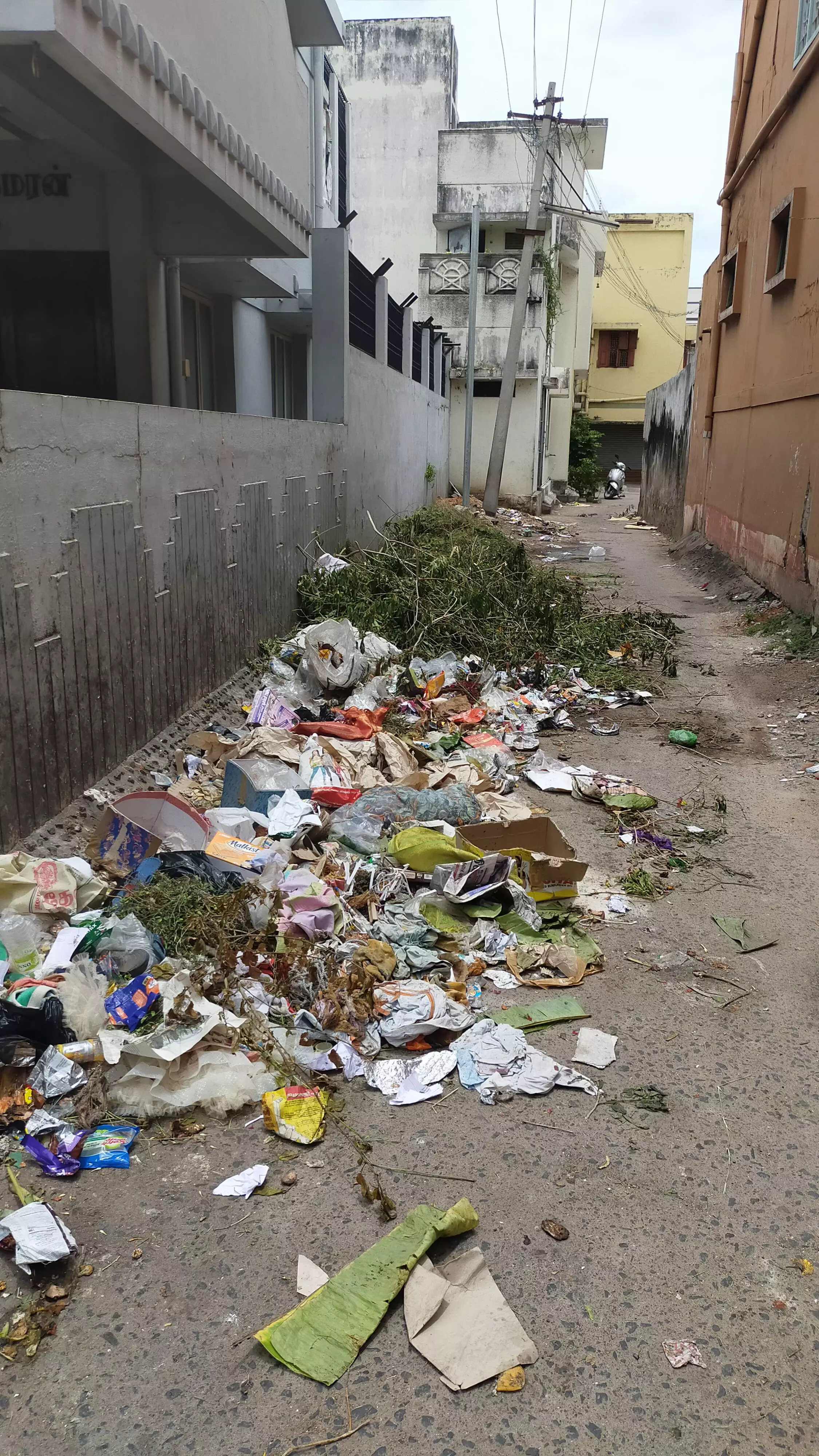 குப்பைகளை அகற்றுவார்களா?