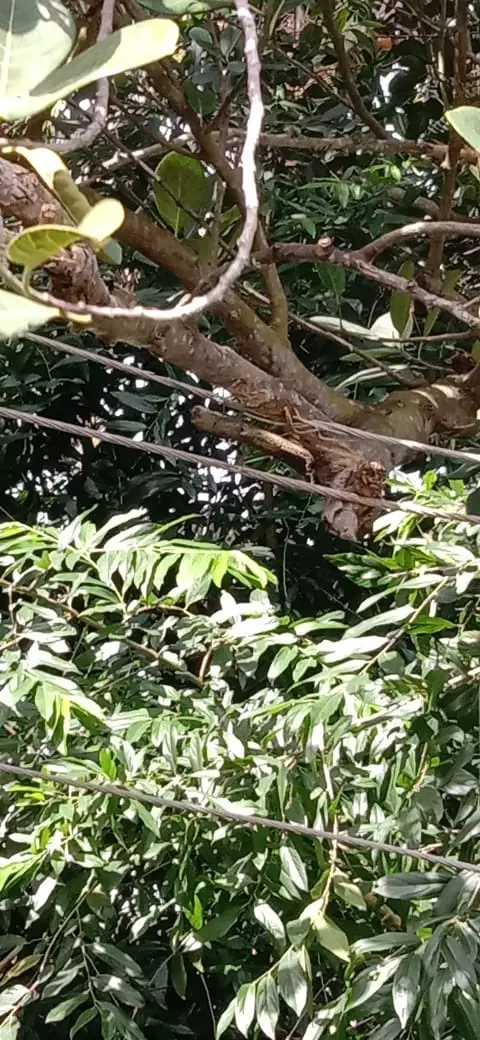 நடவடிக்கை தேவை நடவடிக்கை தேவை