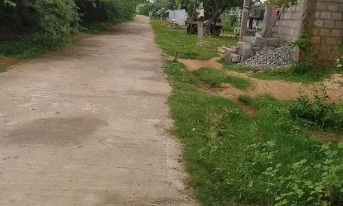 சாலையை ஆக்கிரமித்த சீமை கருவேல மரங்கள் சாலையை ஆக்கிரமித்த சீமை கருவேல மரங்கள்