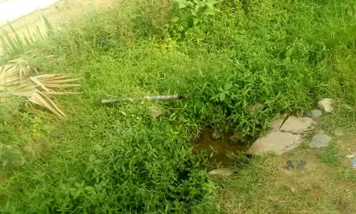 குடிநீர் குழாய் சரிசெய்யப்படுமா? குடிநீர் குழாய் சரிசெய்யப்படுமா?