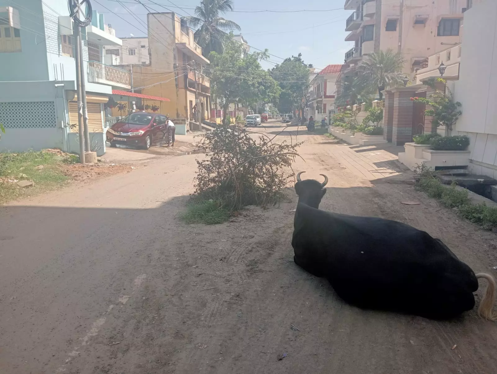 சாலை நடுவே பள்ளம் சாலை நடுவே பள்ளம்