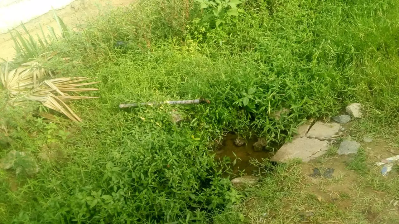 குடிநீர் குழாய் சரிசெய்யப்படுமா? குடிநீர் குழாய் சரிசெய்யப்படுமா?