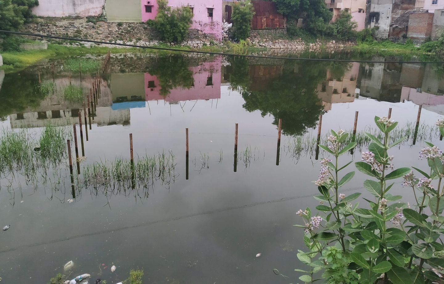 உப்புகுளம் சீரமைக்கப்படுமா? உப்புகுளம் சீரமைக்கப்படுமா?