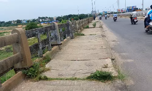 புல், செடிகளை அகற்ற வேண்டும் புல், செடிகளை அகற்ற வேண்டும்