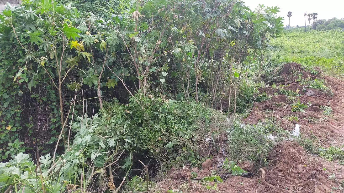 கால்வாய் ஆக்கிரமிப்பு