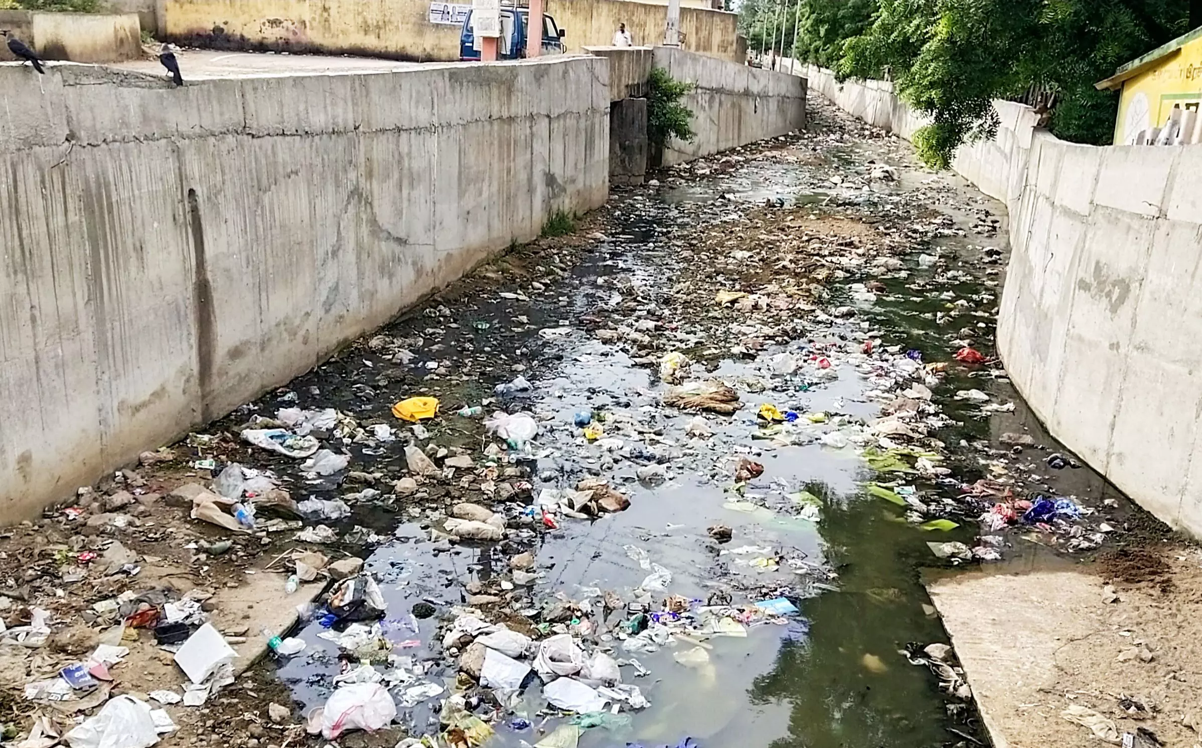 கால்வாயில் மீண்டும் குவியும் குப்பைகள்